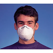 Respirator FFP2 8810 - Dust Mask